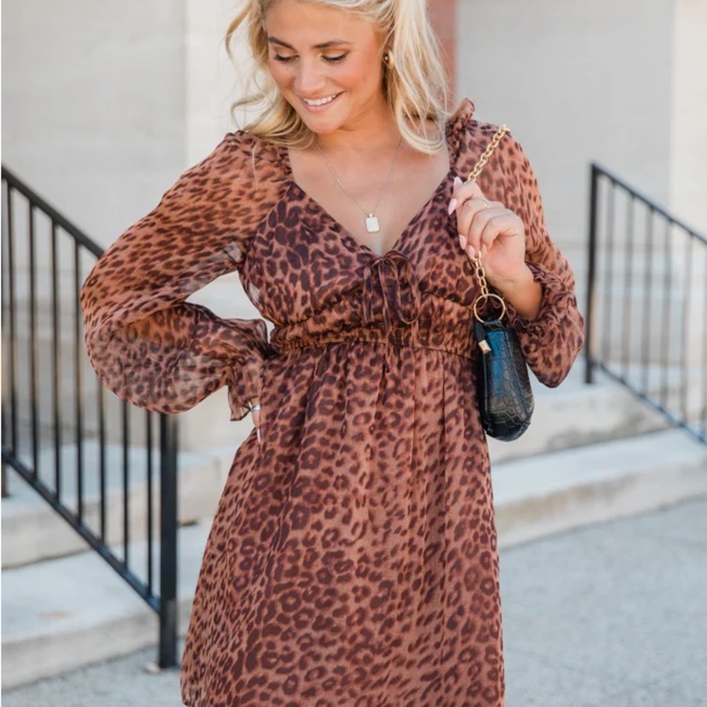Leopard Print V-Neck Dress